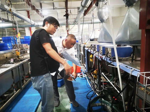 规范厂中厂服务小微园，乐清翁垟街道绷紧企业生产安全弦